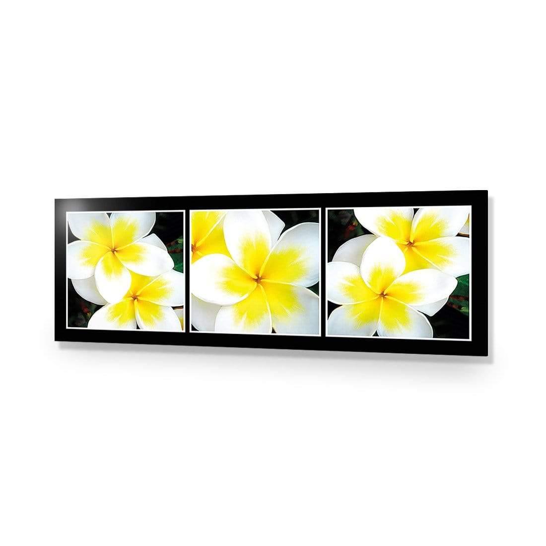 White Frangipani Montage - Wall Art Designs - 823_AL_H WAD_AP - 030 - EDG_90x30_NONE