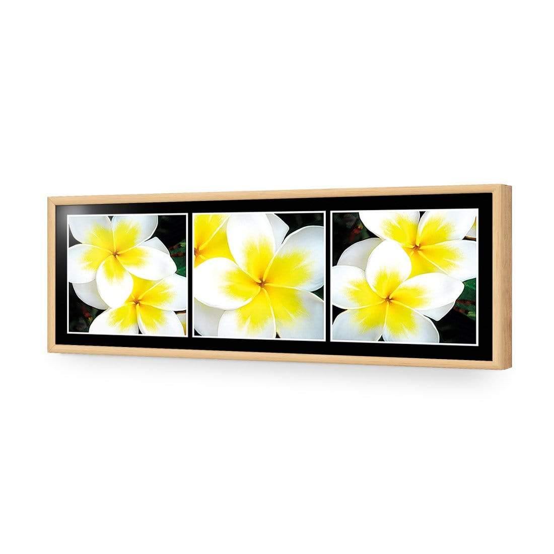 White Frangipani Montage - Wall Art Designs - 823_AL_H WAD_AP - 030 - EDG_90x30_S - 2538 - OAK