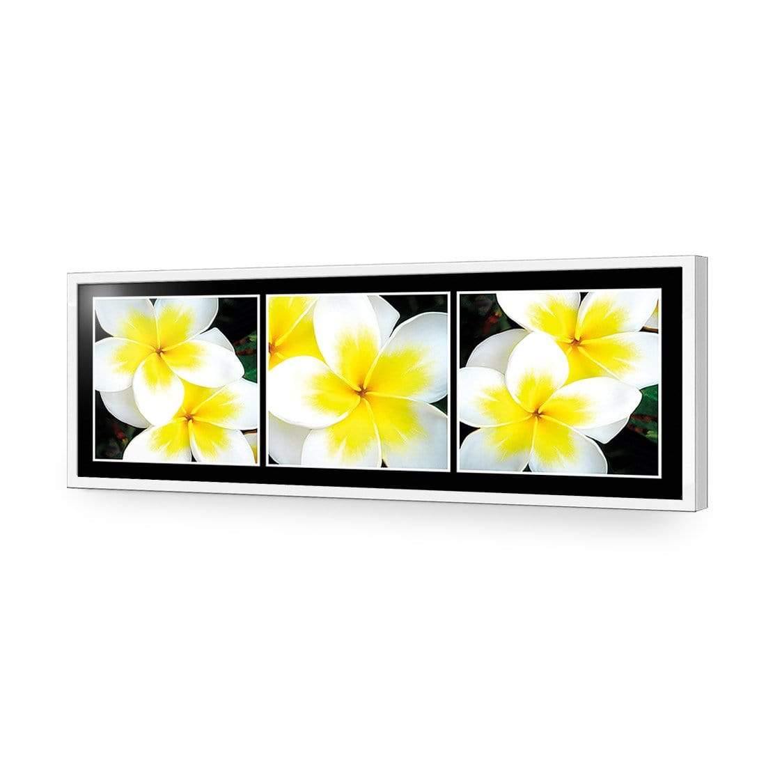 White Frangipani Montage - Wall Art Designs - 823_AL_H WAD_AP - 030 - EDG_90x30_S - 2538 - WHT