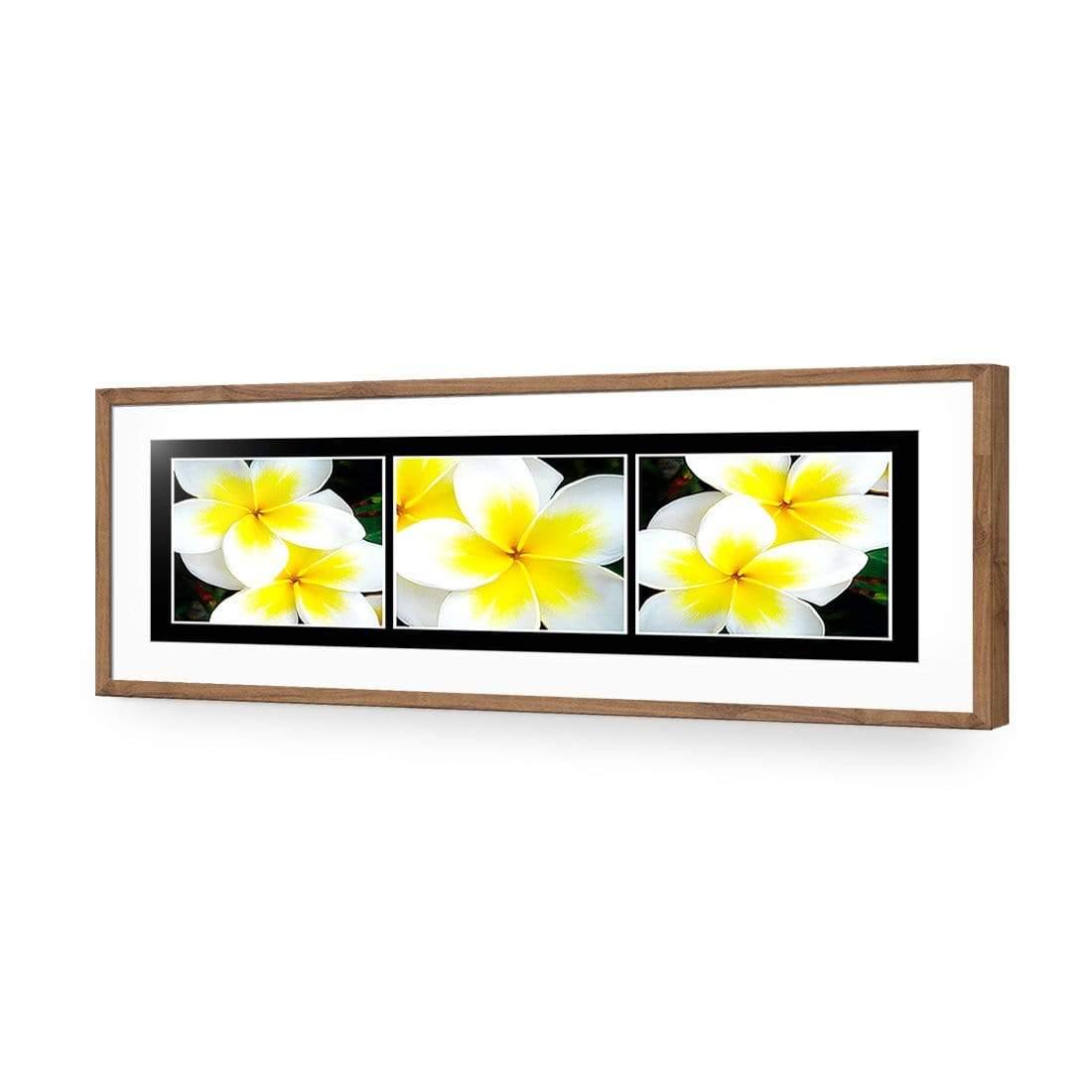 White Frangipani Montage - Wall Art Designs - 823_AL_H WAD_AP - 030 - MAT_90x30_S - 2538 - NAT