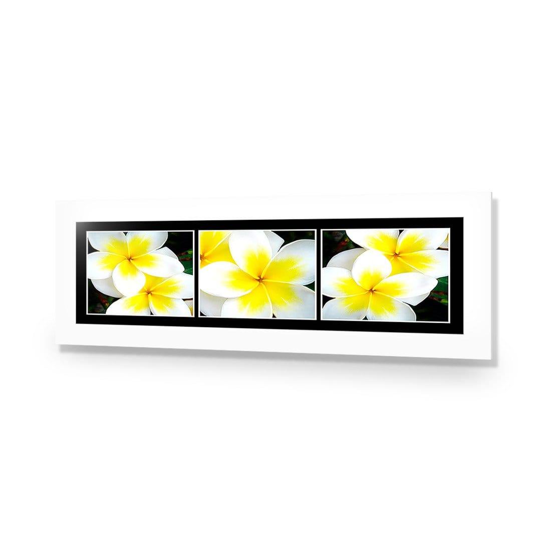 White Frangipani Montage - Wall Art Designs - 823_AL_H WAD_AP - 030 - MAT_90x30_NONE