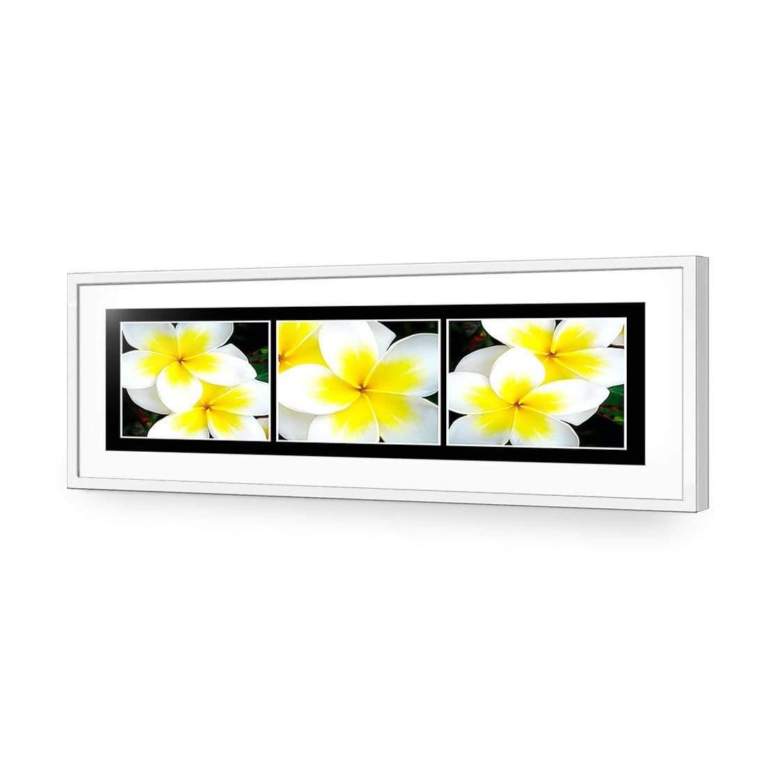 White Frangipani Montage - Wall Art Designs - 823_AL_H WAD_AP - 030 - MAT_90x30_S - 2538 - WHT