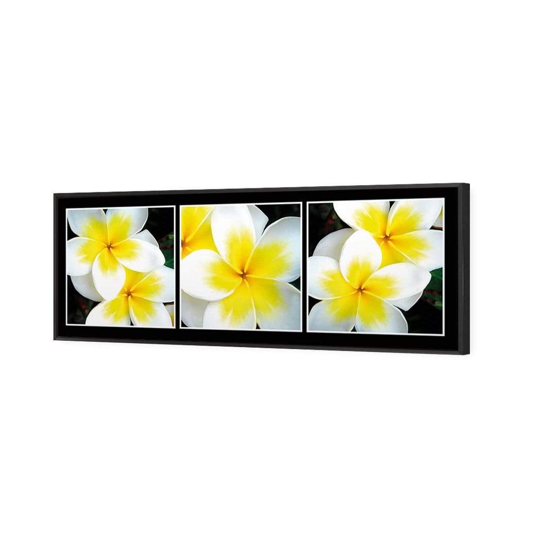 White Frangipani Montage - Wall Art Designs - 823_AL_H WAD_CP - MPY - 260 - B000000 - S - S_60x20_S - 1550 - BLK