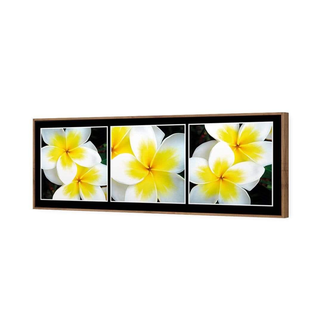 White Frangipani Montage - Wall Art Designs - 823_AL_H WAD_CP - MPY - 260 - B000000 - S - S_60x20_S - 1550 - NAT