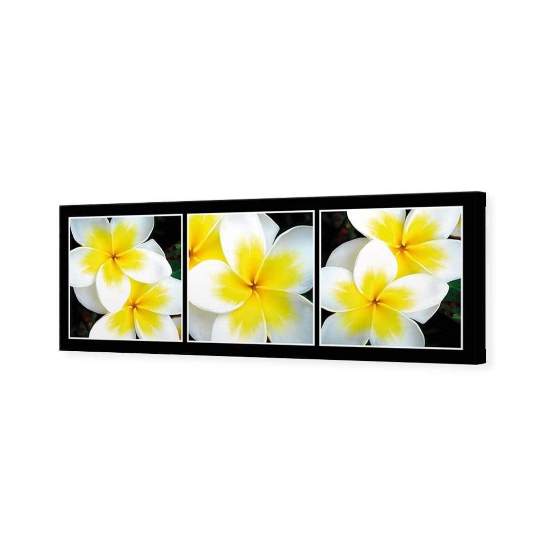 White Frangipani Montage - Wall Art Designs - 823_AL_H WAD_CP - MPY - 260 - B000000 - S - S_60x20_NONE