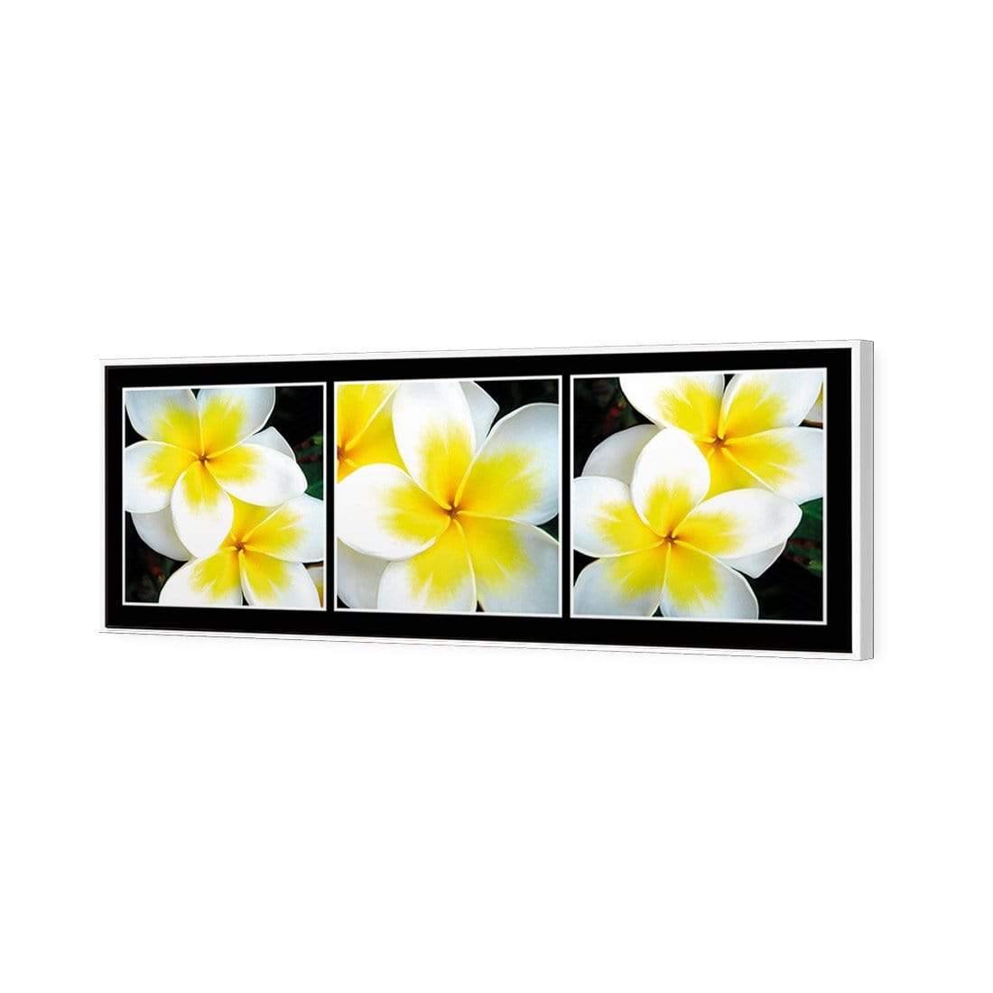 White Frangipani Montage - Wall Art Designs - 823_AL_H WAD_CP - MPY - 260 - B000000 - S - S_60x20_S - 1550 - WHT