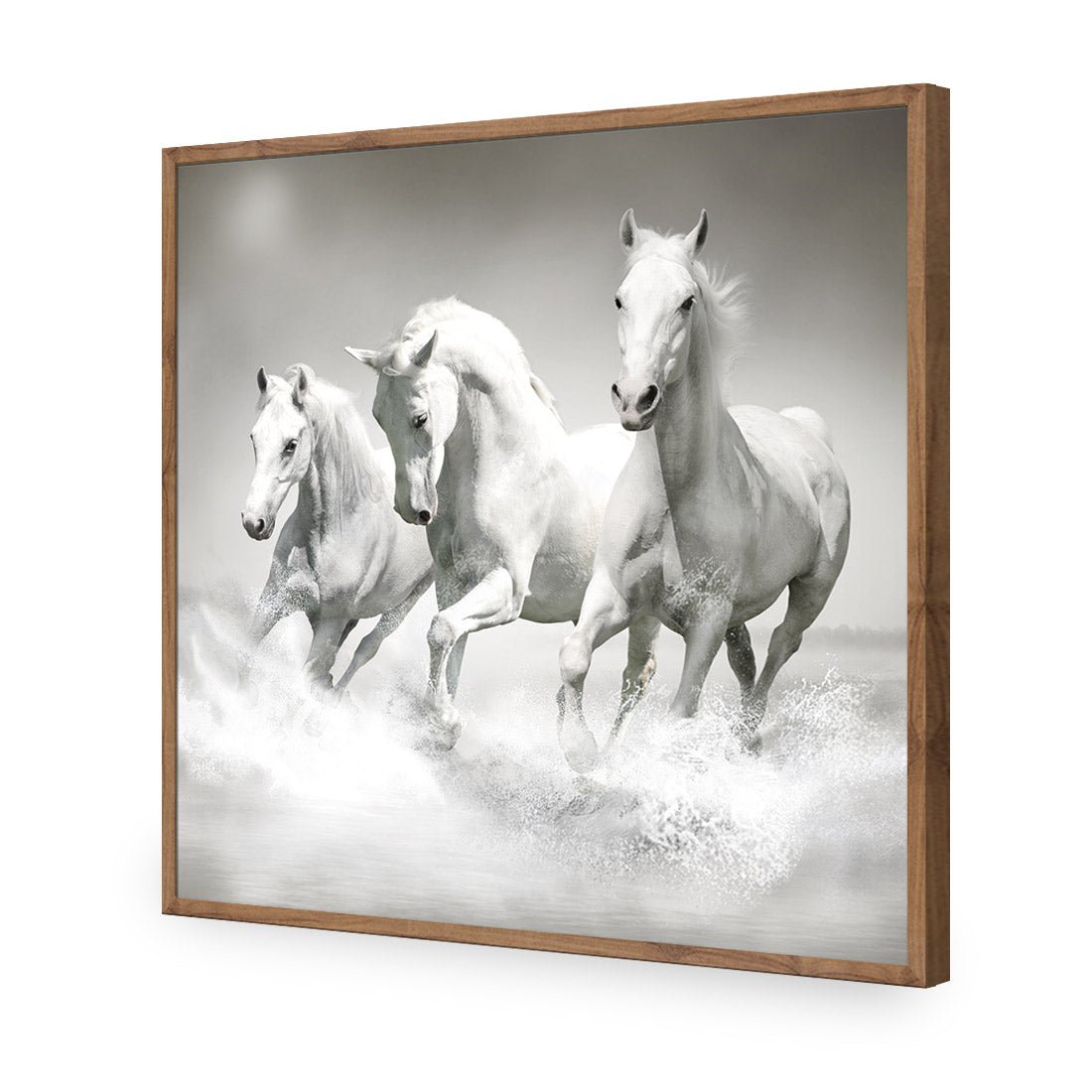 White Horse Beauty, Black and White (square) - Wall Art Designs - 1696_BS_Q WAD_AP - 030 - EDG_37x37_S - 2538 - NAT