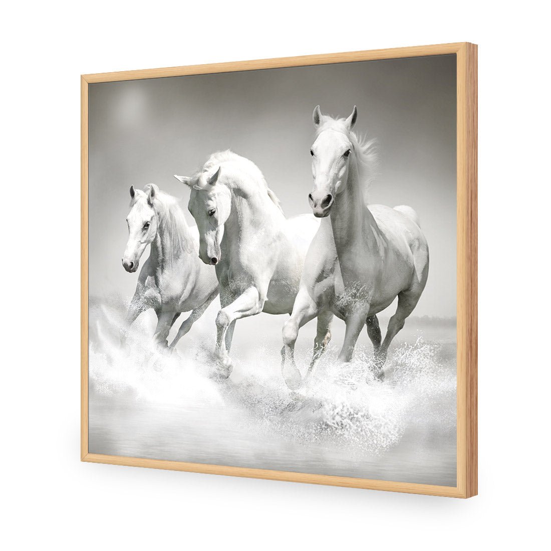 White Horse Beauty, Black and White (square) - Wall Art Designs - 1696_BS_Q WAD_AP - 030 - EDG_37x37_S - 2538 - OAK