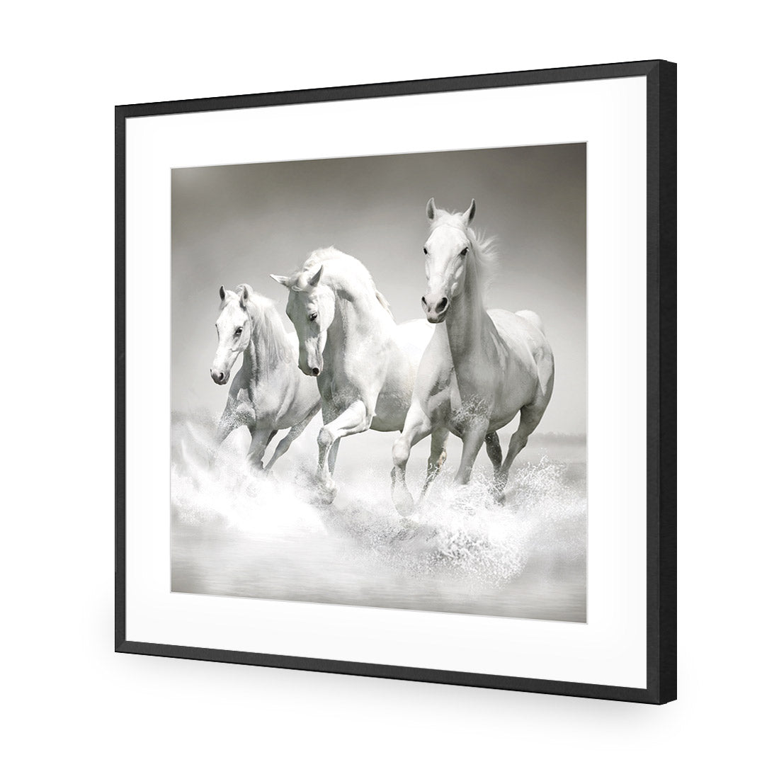 White Horse Beauty, Black and White (square) - Wall Art Designs - 1696_BS_Q WAD_AP - 030 - MAT_37x37_S - 2538 - BLK