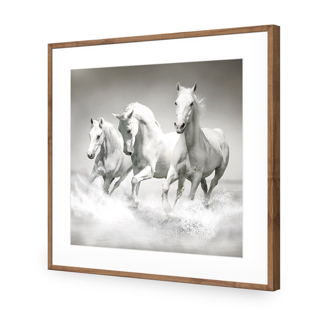 White Horse Beauty, Black and White (square) - Wall Art Designs - 1696_BS_Q WAD_AP - 030 - MAT_37x37_S - 2538 - NAT