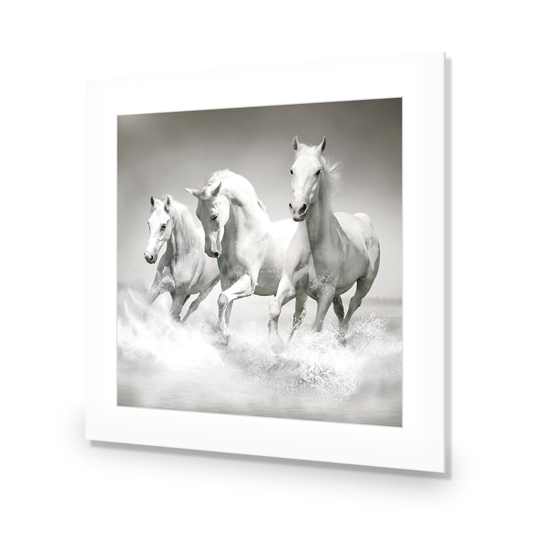 White Horse Beauty, Black and White (square) - Wall Art Designs - 1696_BS_Q WAD_AP - 030 - MAT_37x37_NONE