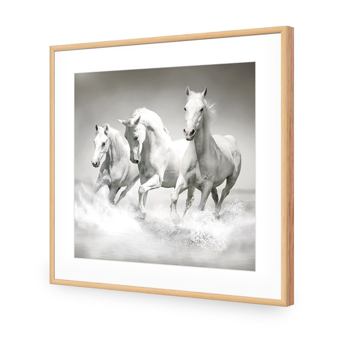 White Horse Beauty, Black and White (square) - Wall Art Designs - 1696_BS_Q WAD_AP - 030 - MAT_37x37_S - 2538 - OAK