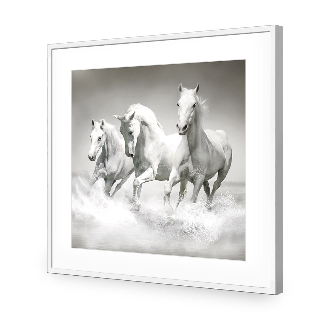 White Horse Beauty, Black and White (square) - Wall Art Designs - 1696_BS_Q WAD_AP - 030 - MAT_37x37_S - 2538 - WHT