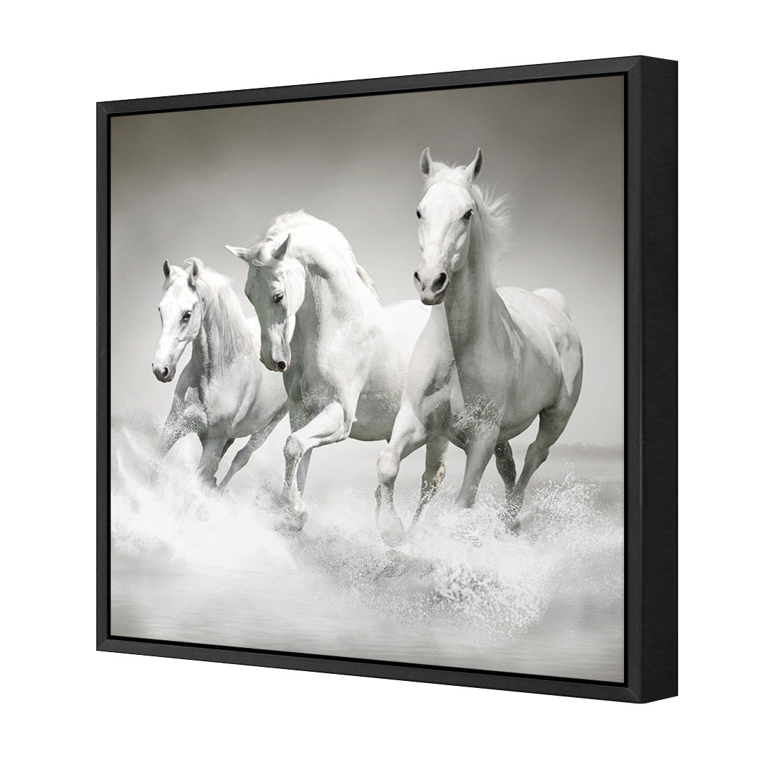 White Horse Beauty, Black and White (square) - Wall Art Designs - 1696_BS_Q WAD_CP - MPY - 260 - M - S - S_37x37_S - 1550 - BLK