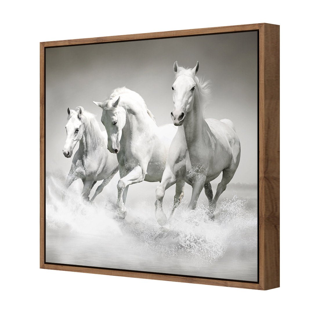 White Horse Beauty, Black and White (square) - Wall Art Designs - 1696_BS_Q WAD_CP - MPY - 260 - M - S - S_37x37_S - 1550 - NAT