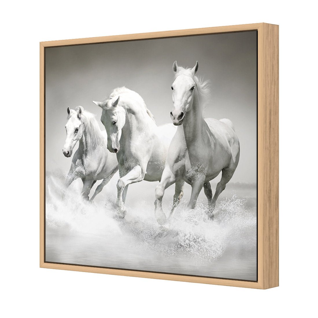 White Horse Beauty, Black and White (square) - Wall Art Designs - 1696_BS_Q WAD_CP - MPY - 260 - M - S - S_37x37_S - 1550 - OAK