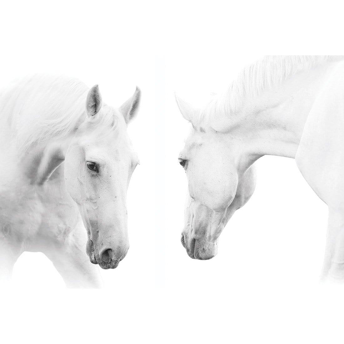 White Horses - Wall Art Designs - AU_1028_AR_H WAD_CP - MPY - 260 - M - S - S_45x30_NONE