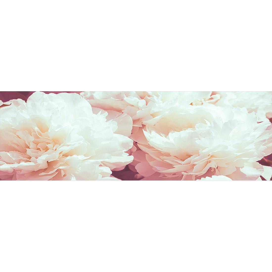 White Peony (Long) - Wall Art Designs - 3167_AL_H WAD_CP - MPY - 260 - M - S - S_60x20_NONE