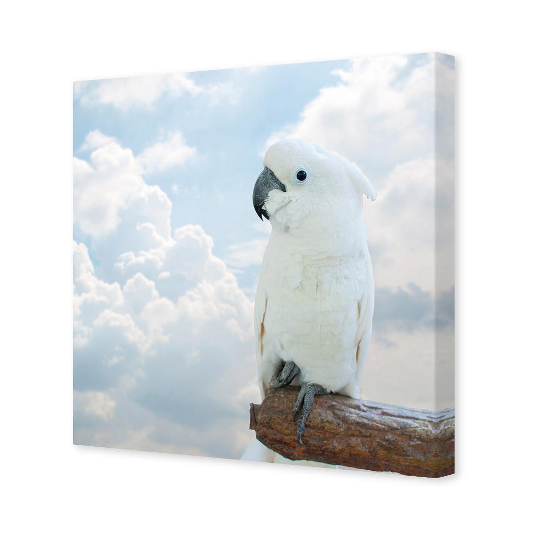 Winston the White Cockatoo - Wall Art Designs - 3095_AS_Q WAD_CP - MPY - 260 - M - S - S_37x37_NONE