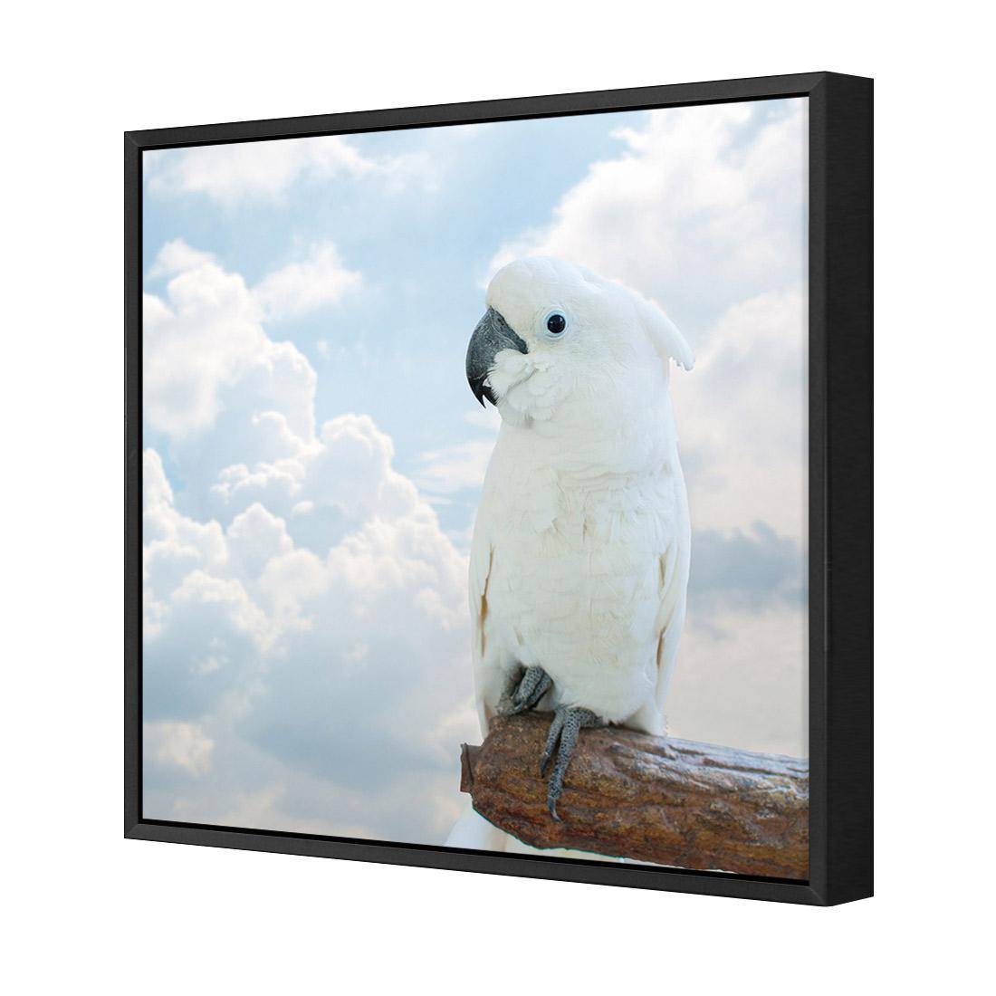 Winston the White Cockatoo - Wall Art Designs - 3095_AS_Q WAD_CP - MPY - 260 - M - S - S_37x37_NONE