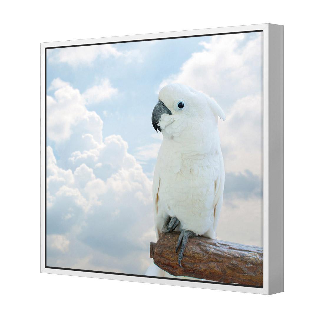 Winston the White Cockatoo - Wall Art Designs - 3095_AS_Q WAD_CP - MPY - 260 - M - S - S_37x37_NONE