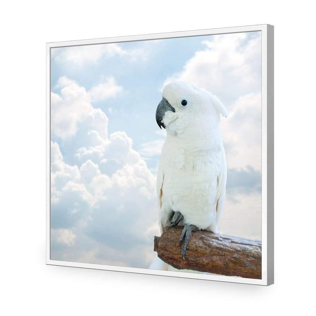 Winston the White Cockatoo - Wall Art Designs - 3095_AS_Q WAD_CP - MPY - 260 - M - S - S_37x37_NONE