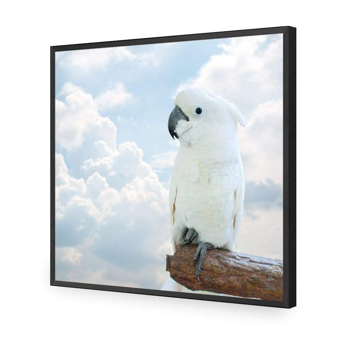 Winston the White Cockatoo - Wall Art Designs - 3095_AS_Q WAD_CP - MPY - 260 - M - S - S_37x37_NONE