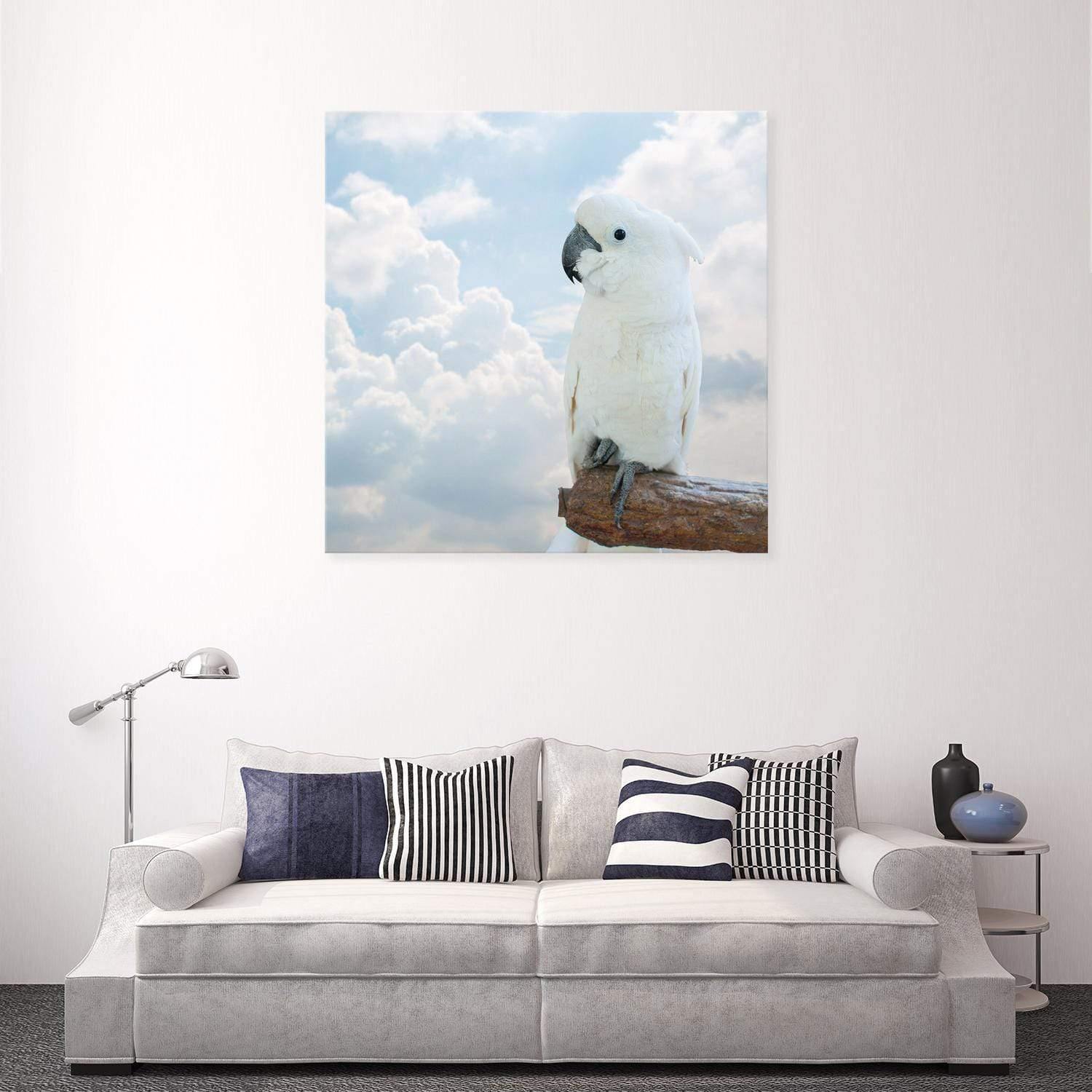 Winston the White Cockatoo - Wall Art Designs - 3095_AS_Q WAD_CP - MPY - 260 - M - S - S_37x37_NONE