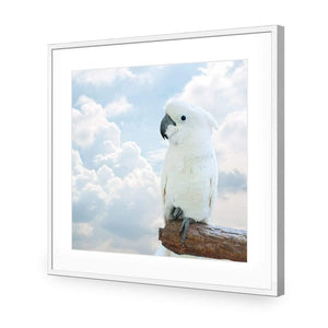 Winston the White Cockatoo - Wall Art Designs - 3095_AS_Q WAD_CP - MPY - 260 - M - S - S_37x37_NONE