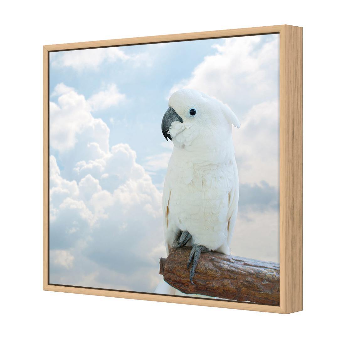 Winston the White Cockatoo - Wall Art Designs - 3095_AS_Q WAD_CP - MPY - 260 - M - S - S_37x37_NONE