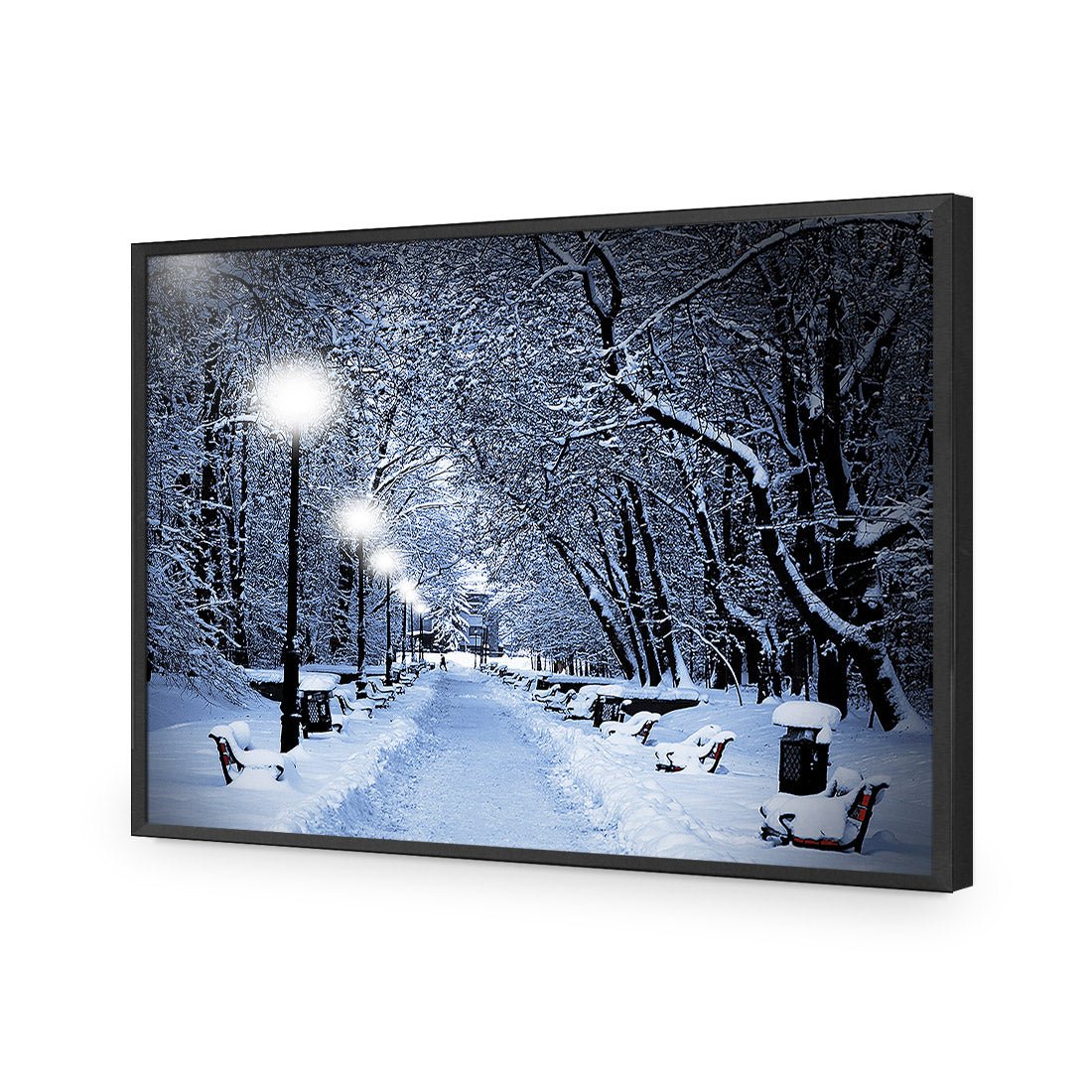 Winter Park (rectangle) - Wall Art Designs - 1212_AR_H WAD_AP - 030 - EDG_45x30_S - 2538 - BLK