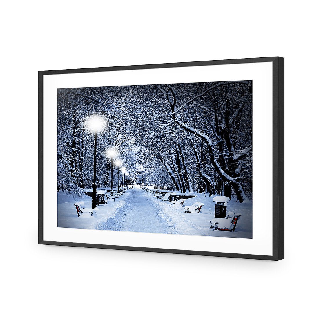 Winter Park (rectangle) - Wall Art Designs - 1212_AR_H WAD_AP - 030 - MAT_45x30_S - 2538 - BLK