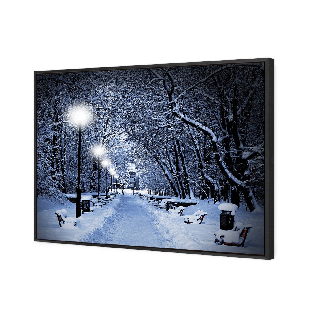 Winter Park (rectangle) - Wall Art Designs - 1212_AR_H WAD_CP - MPY - 260 - M - S - S_45x30_S - 1550 - BLK