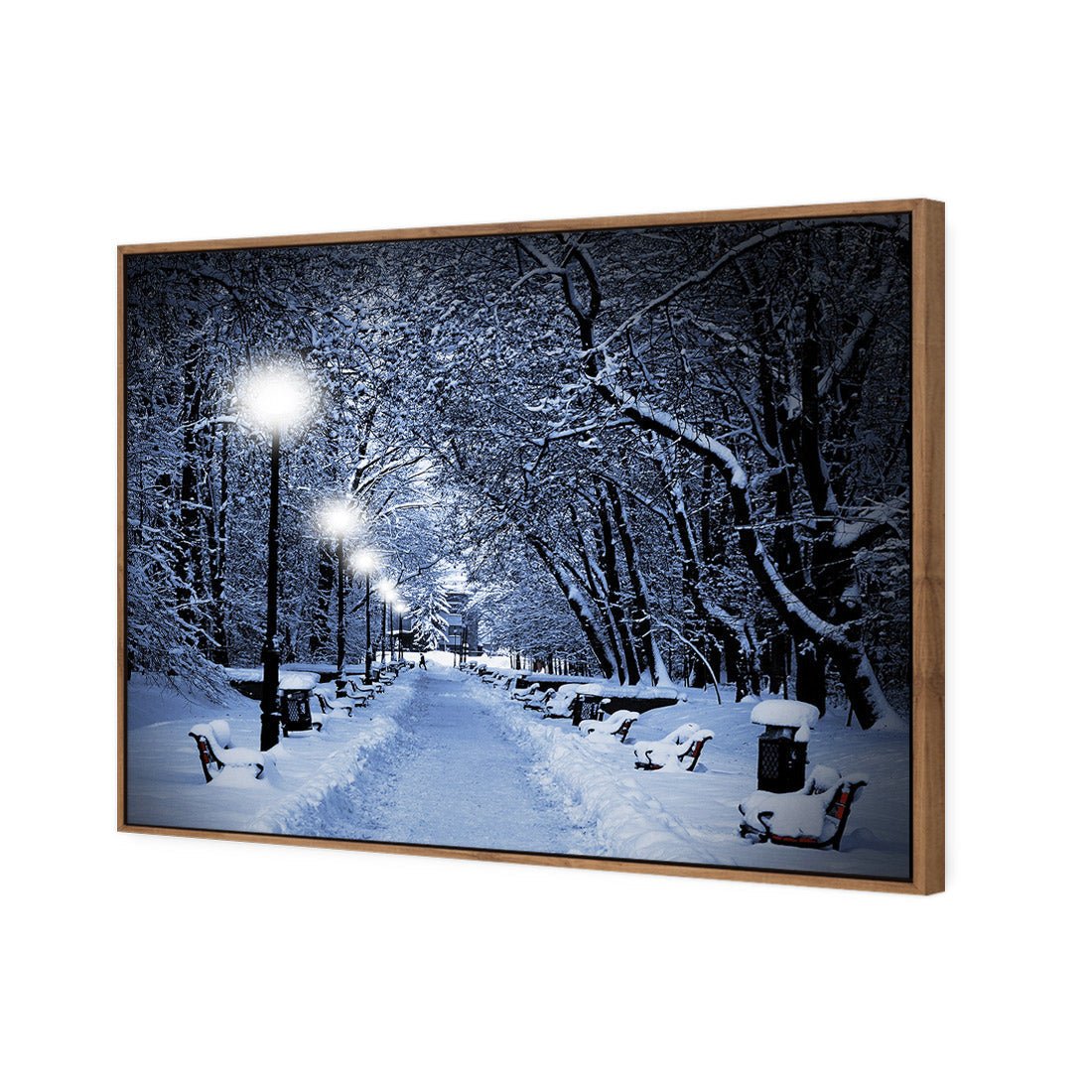 Winter Park (rectangle) - Wall Art Designs - 1212_AR_H WAD_CP - MPY - 260 - M - S - S_45x30_S - 1550 - NAT