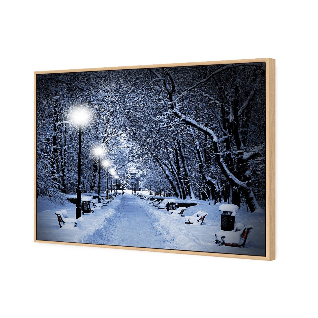 Winter Park (rectangle) - Wall Art Designs - 1212_AR_H WAD_CP - MPY - 260 - M - S - S_45x30_S - 1550 - OAK