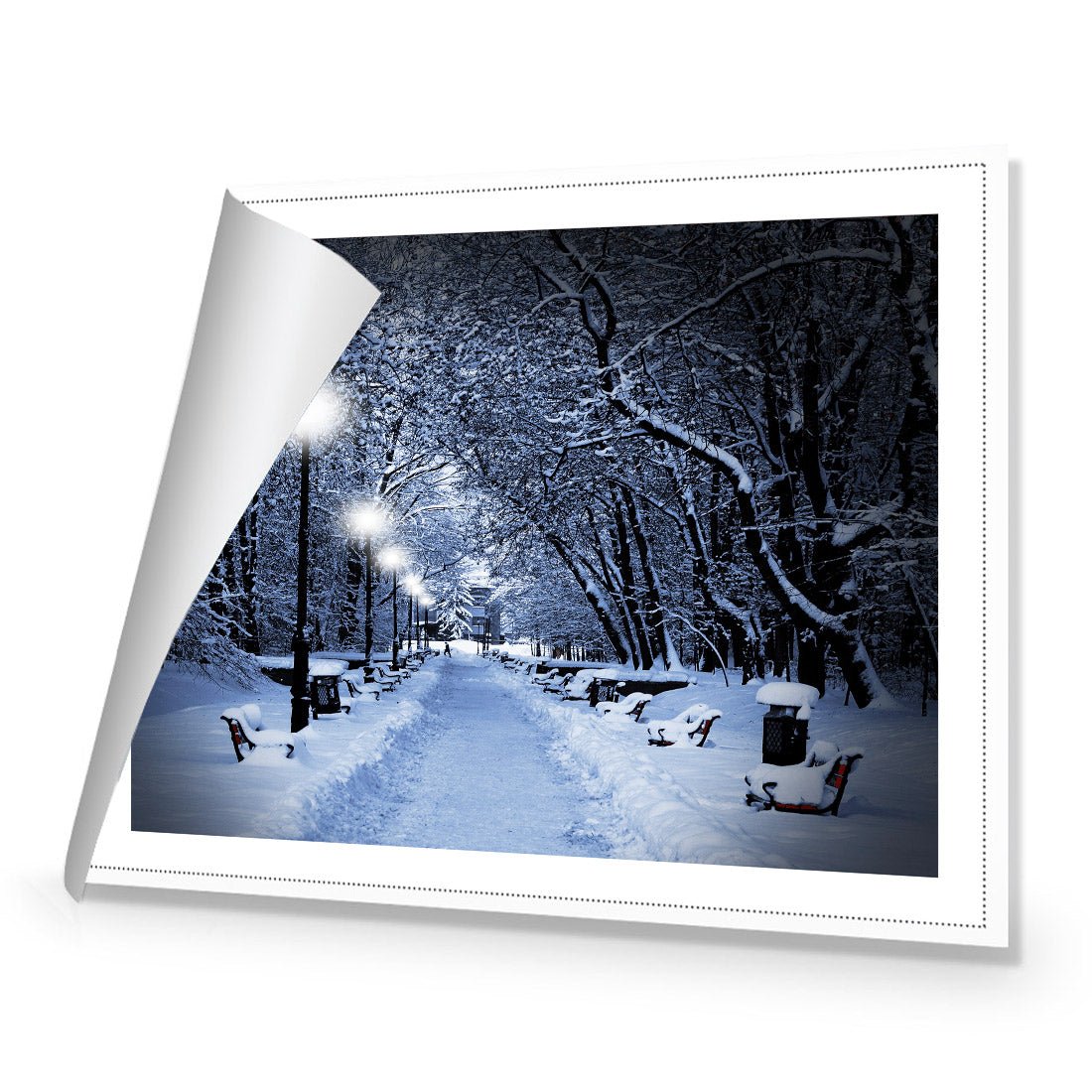 Winter Park (rectangle) - Wall Art Designs - 1212_AR_H WAD_CP - MPY - 260 - M - R_45x30_NONE