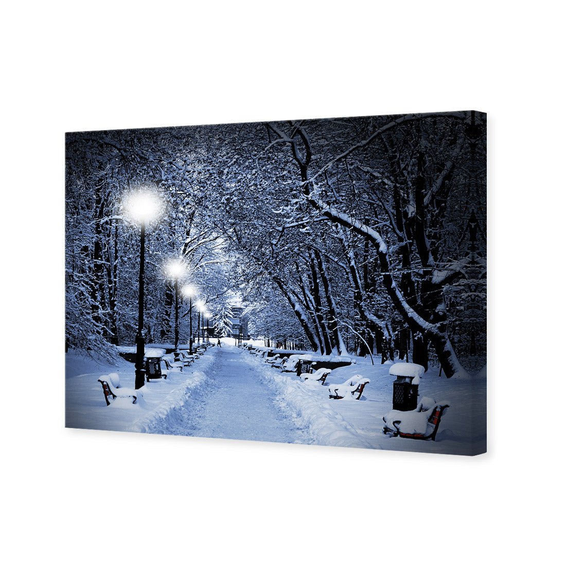 Winter Park (rectangle) - Wall Art Designs - 1212_AR_H WAD_CP - MPY - 260 - M - S - S_45x30_NONE