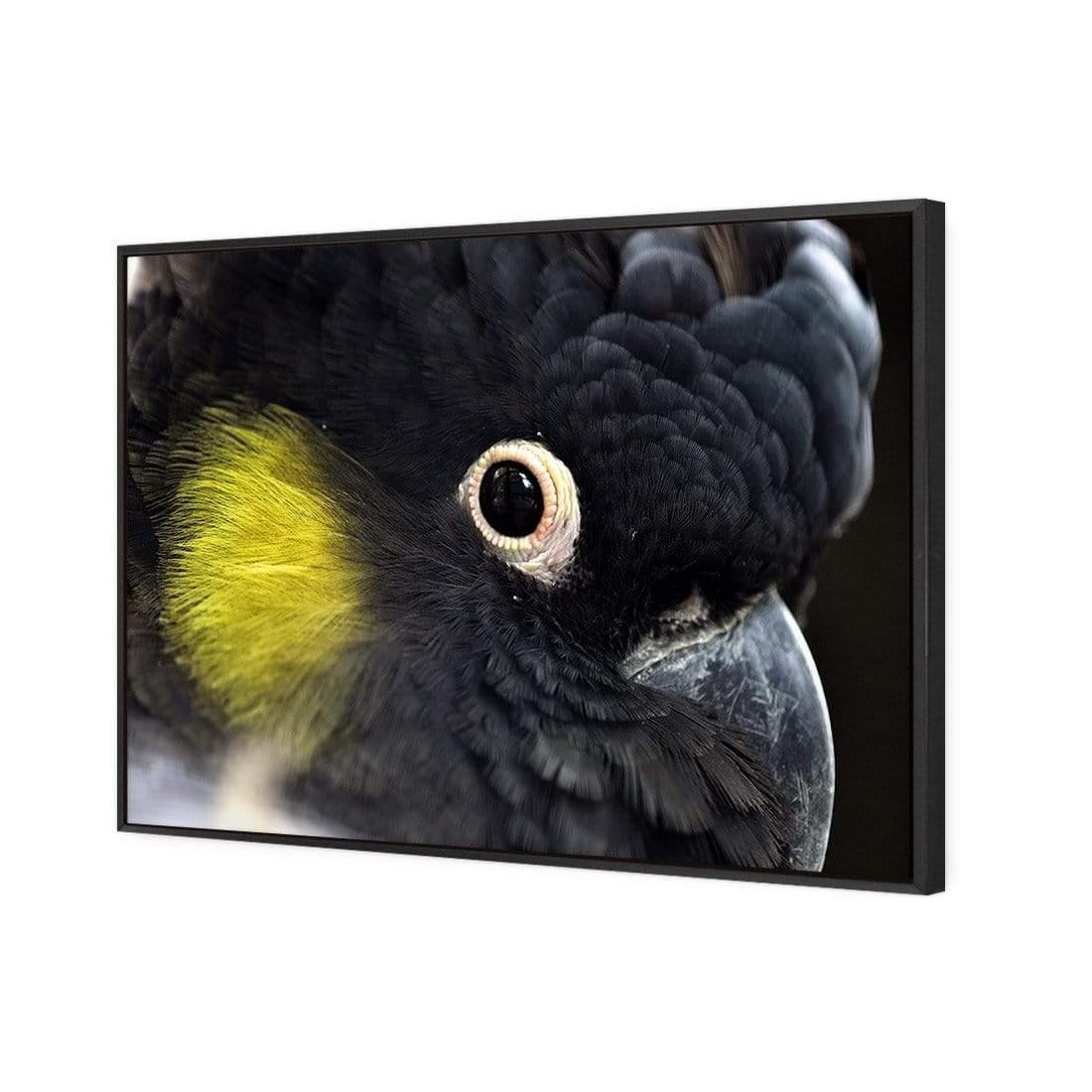 Yellow Tailed Black Cockatoo - Wall Art Designs - 3101_AR_H WAD_CP - MPY - 260 - M - S - S_45x30_NONE