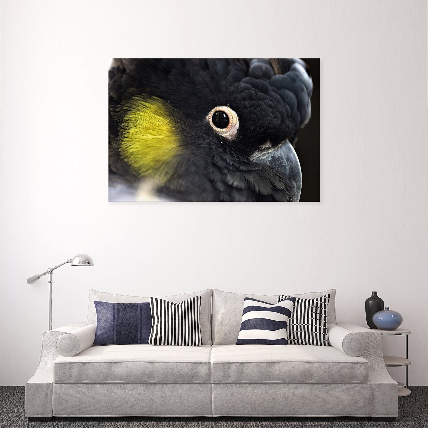 Yellow Tailed Black Cockatoo - Wall Art Designs - 3101_AR_H WAD_CP - MPY - 260 - M - S - S_45x30_NONE