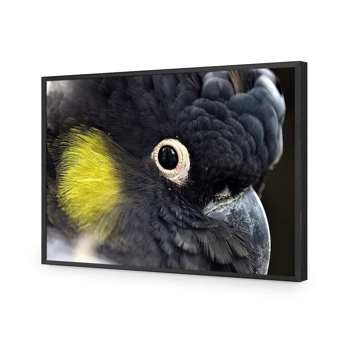 Yellow Tailed Black Cockatoo - Wall Art Designs - 3101_AR_H WAD_CP - MPY - 260 - M - S - S_45x30_NONE