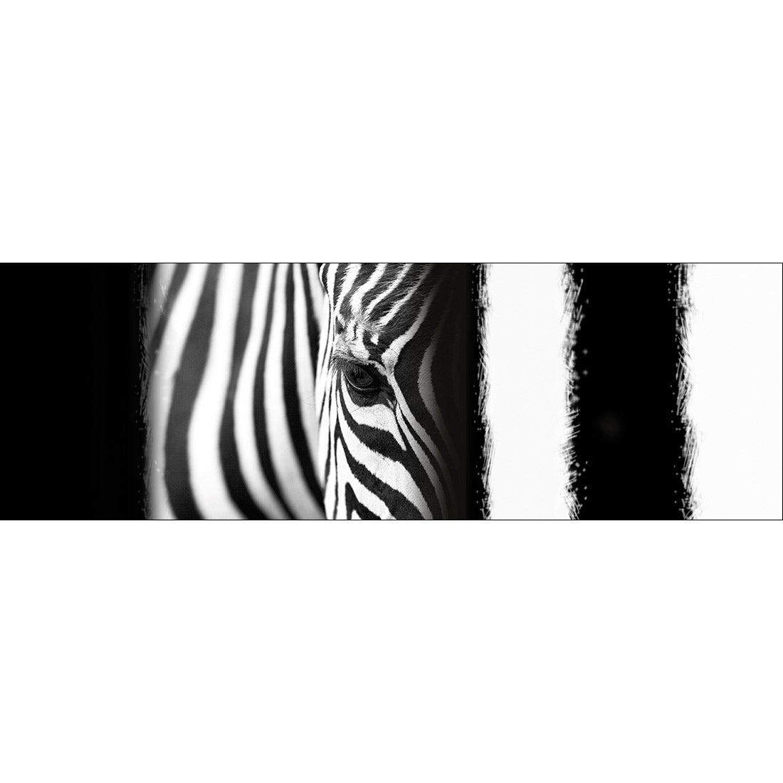 Zebra Eye Arty, black and white - Wall Art Designs - 493_BL_H WAD_CP - MPY - 260 - M - S - S_60x20_NONE