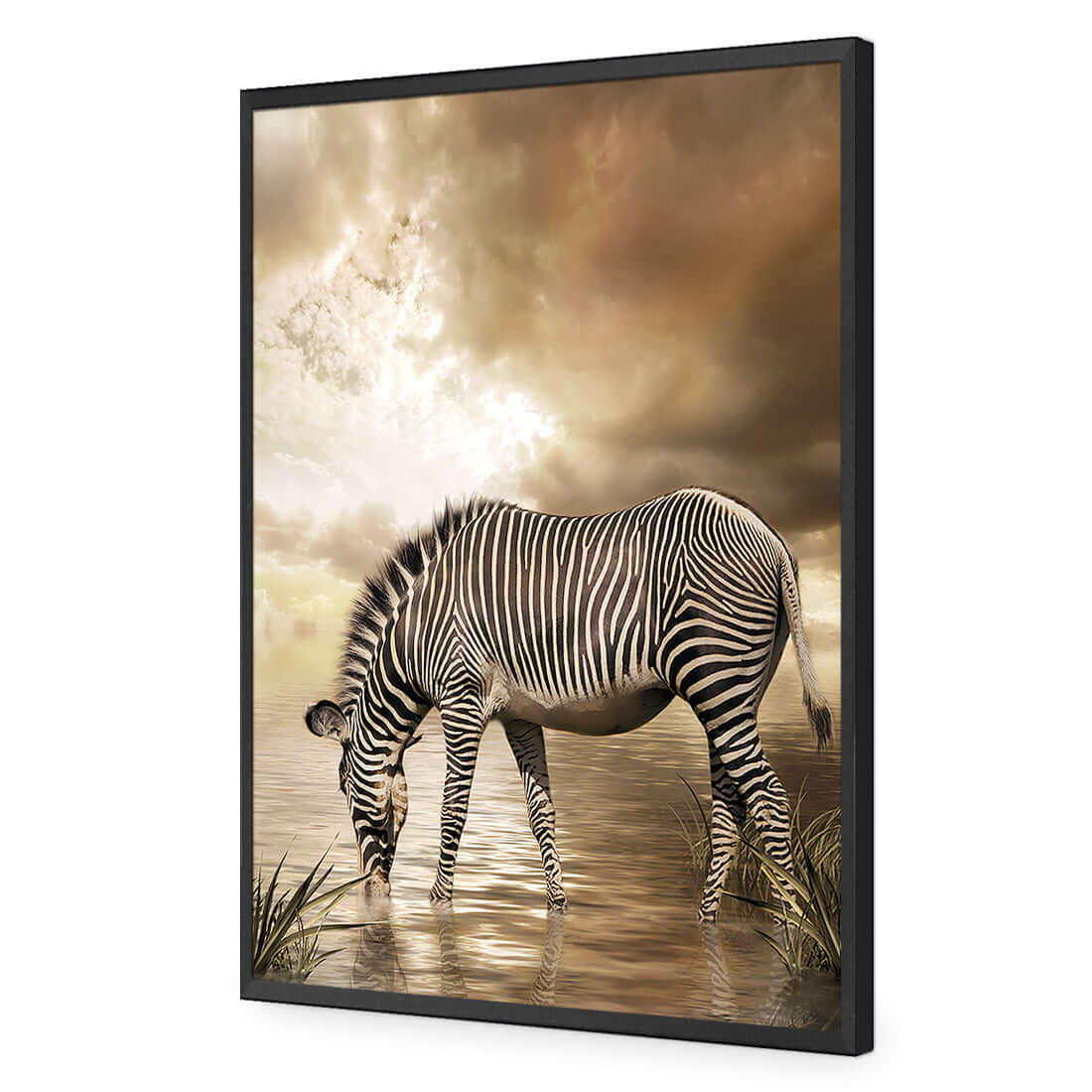 Zebra in Clouds - Wall Art Designs - 1415_AR_V WAD_AP - 030 - EDG_45x30_S - 2538 - BLK