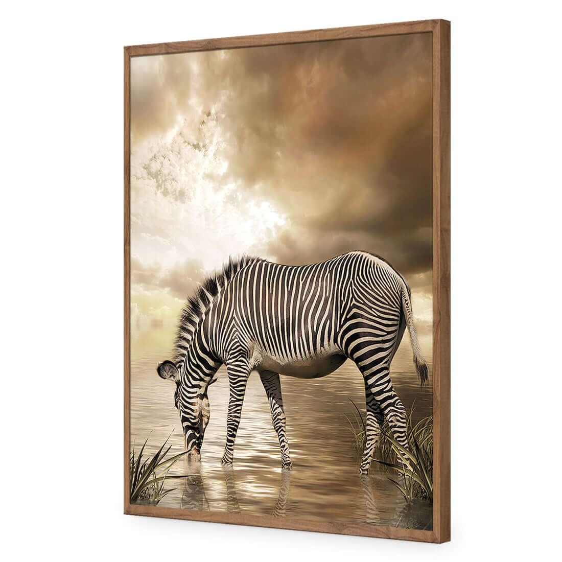 Zebra in Clouds - Wall Art Designs - 1415_AR_V WAD_AP - 030 - EDG_45x30_S - 2538 - NAT