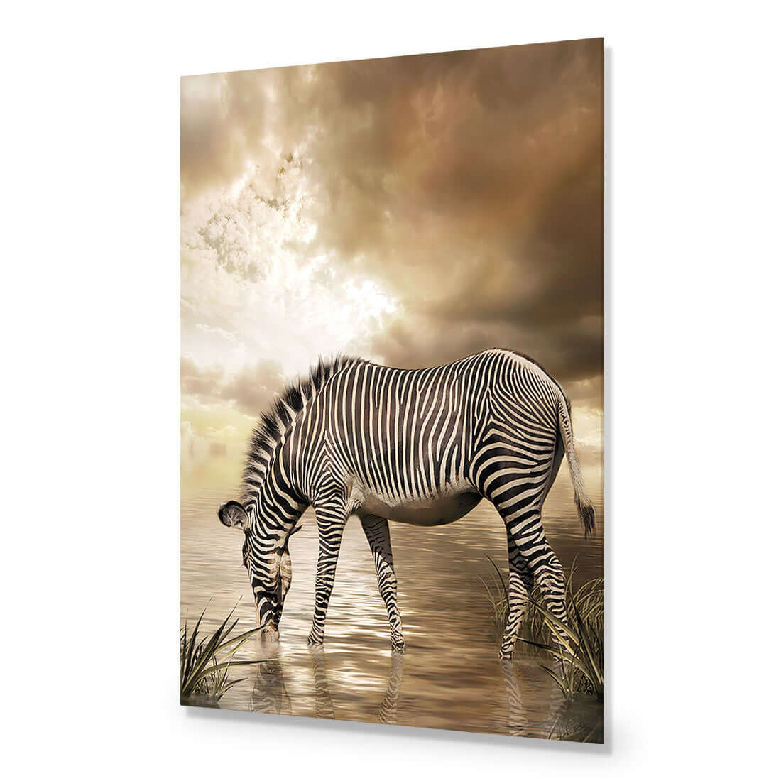 Zebra in Clouds - Wall Art Designs - 1415_AR_V WAD_AP - 030 - EDG_45x30_NONE