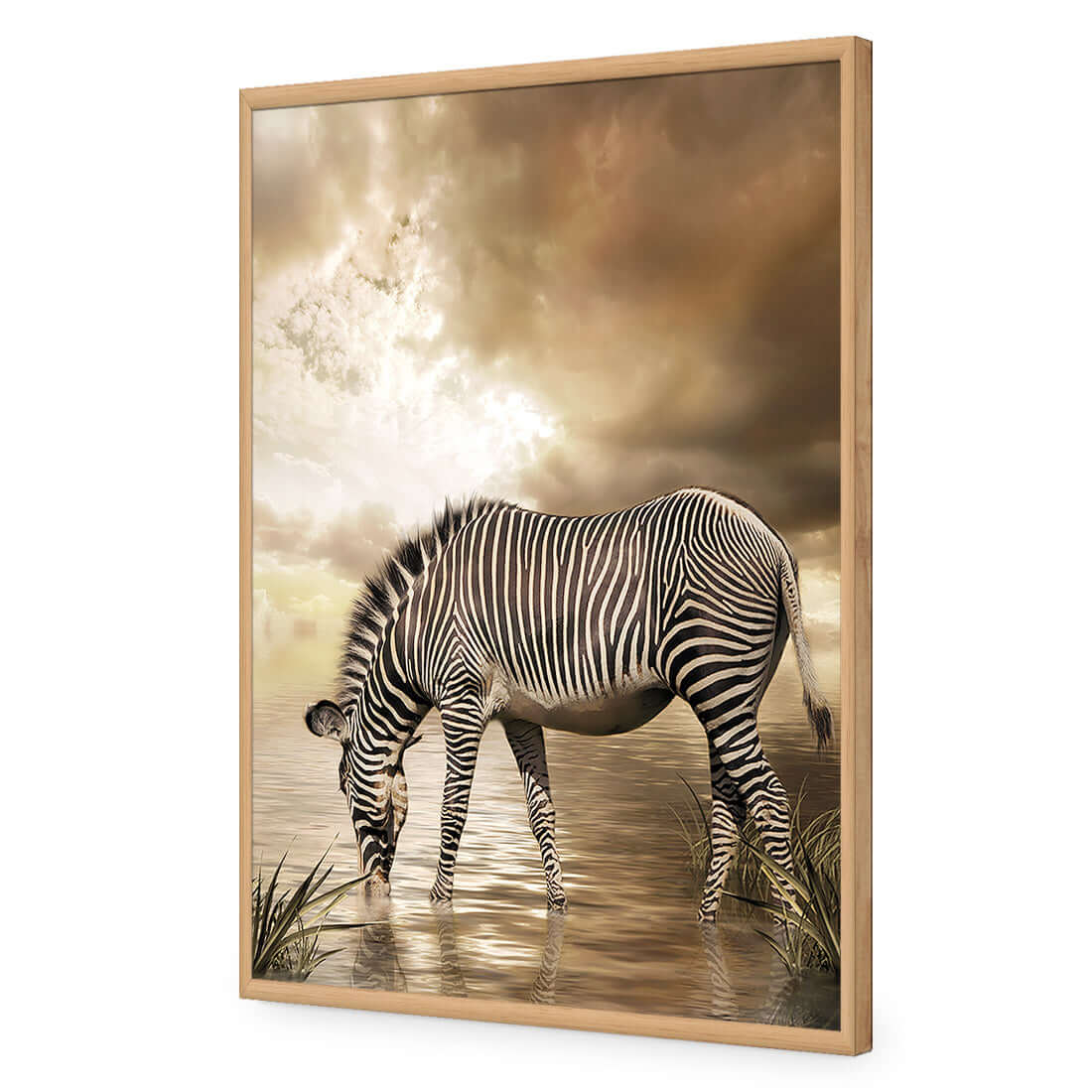 Zebra in Clouds - Wall Art Designs - 1415_AR_V WAD_AP - 030 - EDG_45x30_S - 2538 - OAK