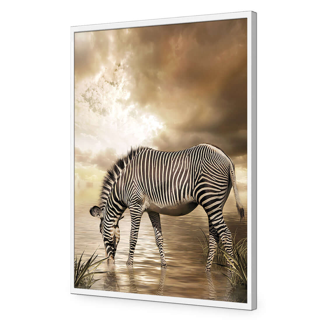 Zebra in Clouds - Wall Art Designs - 1415_AR_V WAD_AP - 030 - EDG_45x30_S - 2538 - WHT