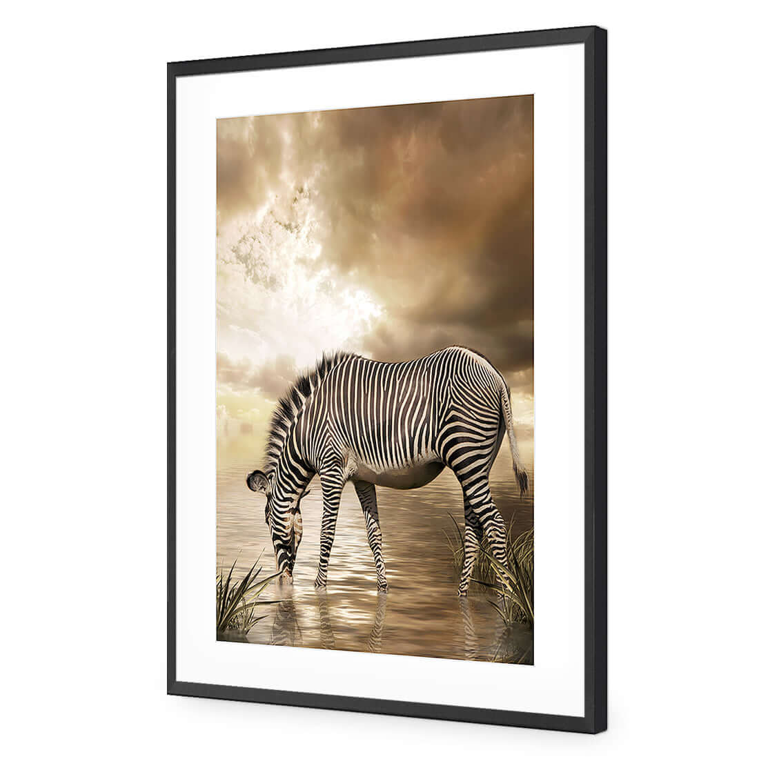 Zebra in Clouds - Wall Art Designs - 1415_AR_V WAD_AP - 030 - MAT_45x30_S - 2538 - BLK