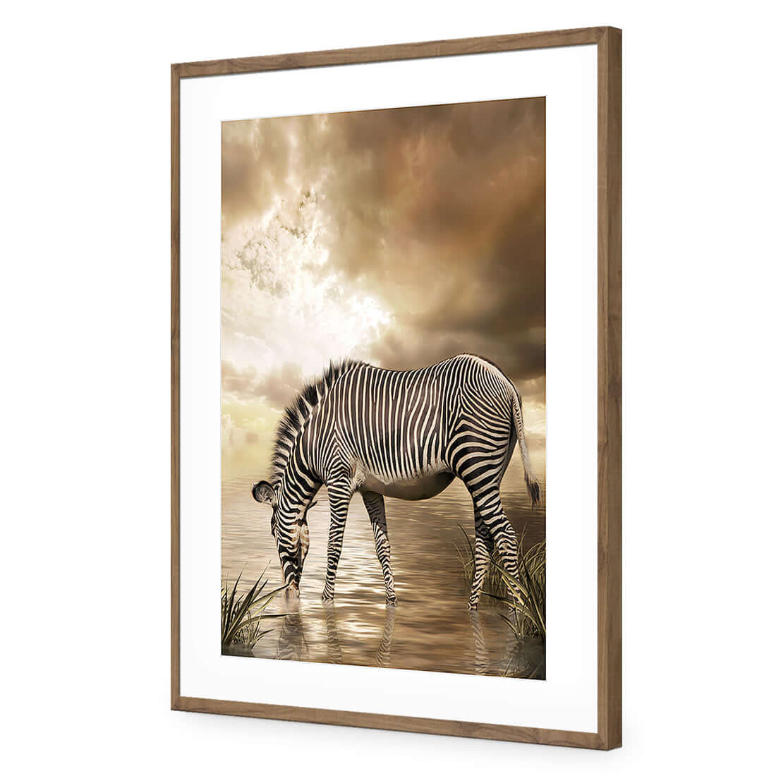 Zebra in Clouds - Wall Art Designs - 1415_AR_V WAD_AP - 030 - MAT_45x30_S - 2538 - NAT