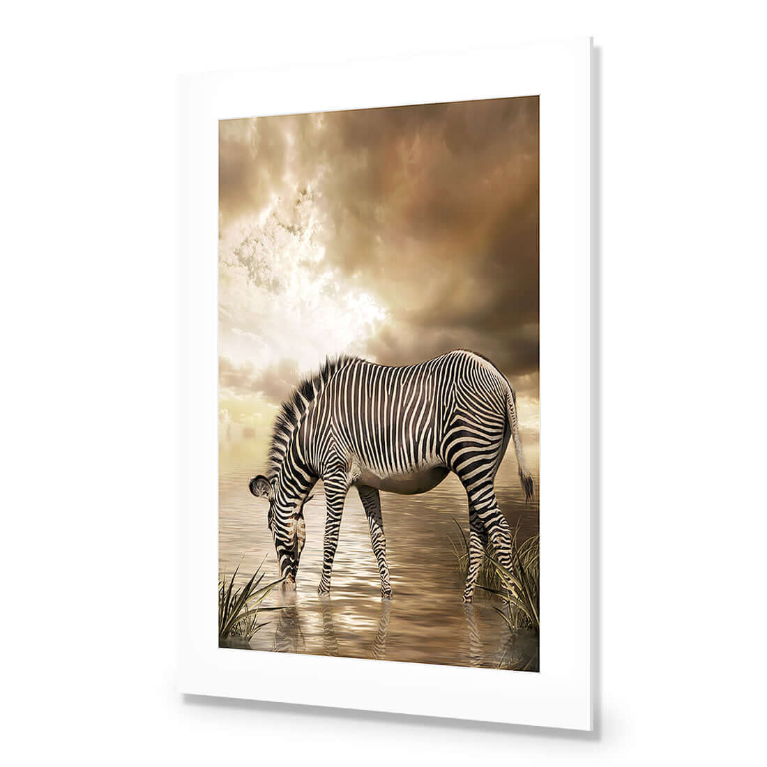 Zebra in Clouds - Wall Art Designs - 1415_AR_V WAD_AP - 030 - MAT_45x30_NONE