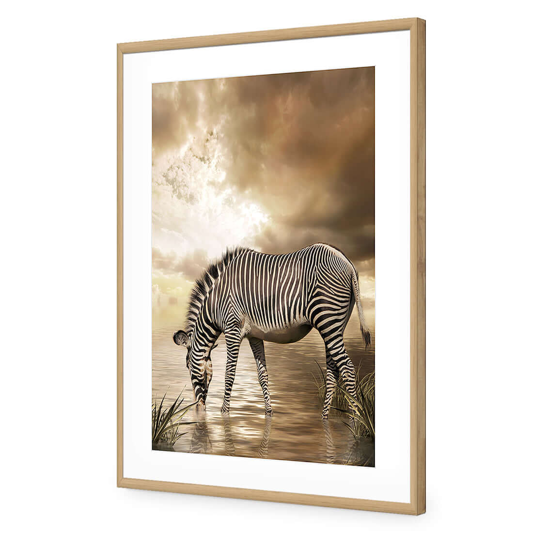 Zebra in Clouds - Wall Art Designs - 1415_AR_V WAD_AP - 030 - MAT_45x30_S - 2538 - OAK